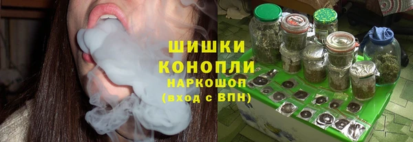 соль ск Няндома