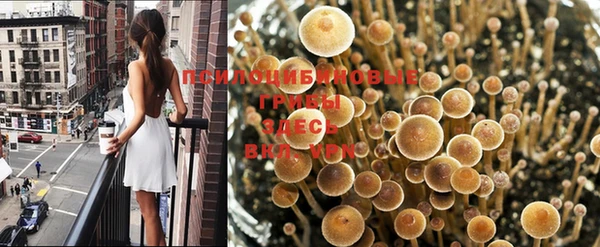 кокаин колумбия Нязепетровск