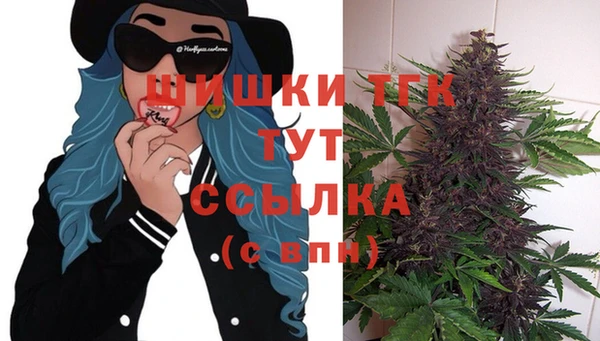 соль ск Няндома