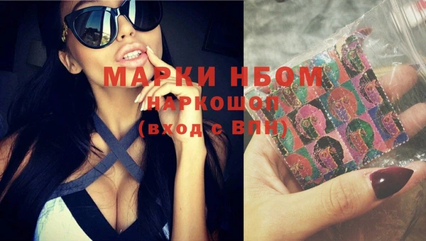 соль ск Няндома