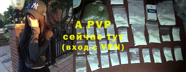 ПСИЛОЦИБИНОВЫЕ ГРИБЫ Новокубанск