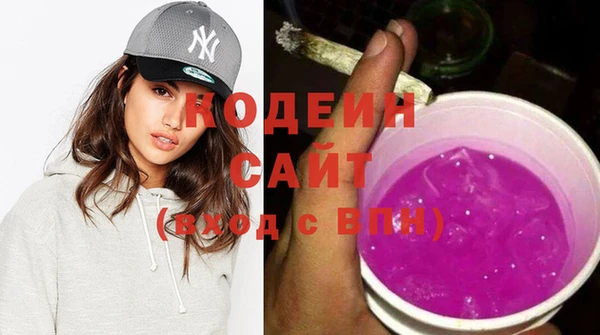соль ск Няндома