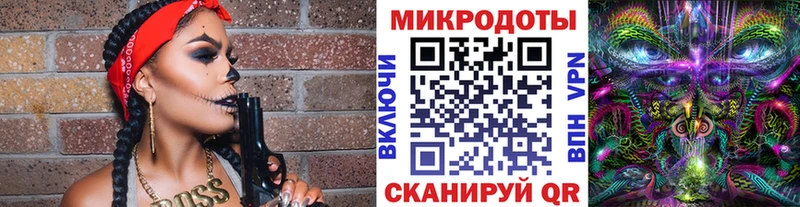 Псилоцибиновые грибы Cubensis  Купить где  Пересвет 